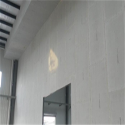 鞍山新型建筑材料掺多种工业废渣的ALC|ACC|FPS模块板材轻质隔墙板